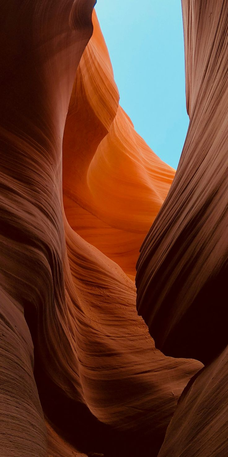 Wallpaper